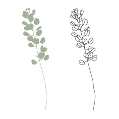Vector illustration of herbs isolated on white background.