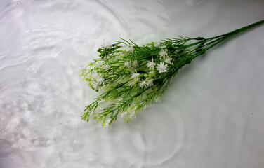 bouquet of white flowers undewater