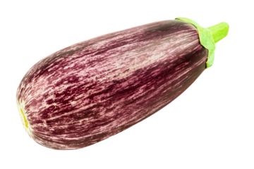 1 Aubergine und Hintergrund transparent