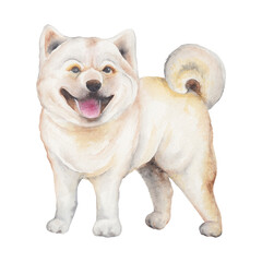 Dog isolated on white background. Watercolor illustration of dog. Chinese Zodiac animals concept