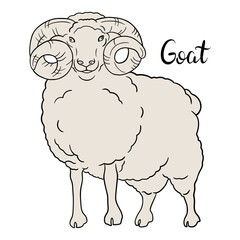 Contour goat sketch with hand lettering. Line art vector illustration of goat. Chinese Zodiac animals concept
