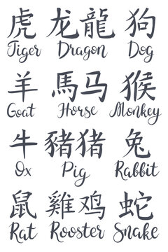 12 Chinese calligraphy zodiac year characters set. Hand lettered Chinese zodiac animals in Chinese and English
