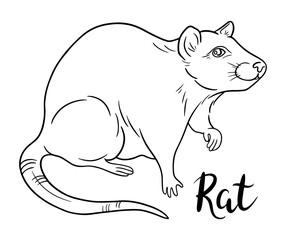 Contour rat sketch with hand lettering. Line art vector illustration of rat. Chinese Zodiac animals concept
