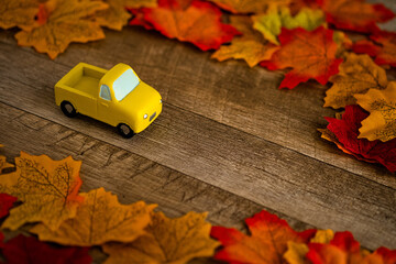 車で秋の行楽・お出かけとフリースペース