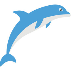 Dolphin Vector Icon 
