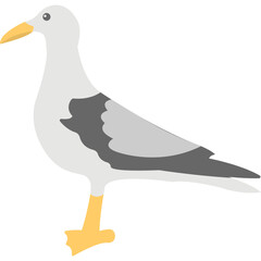 Pigeon Vector Icon 