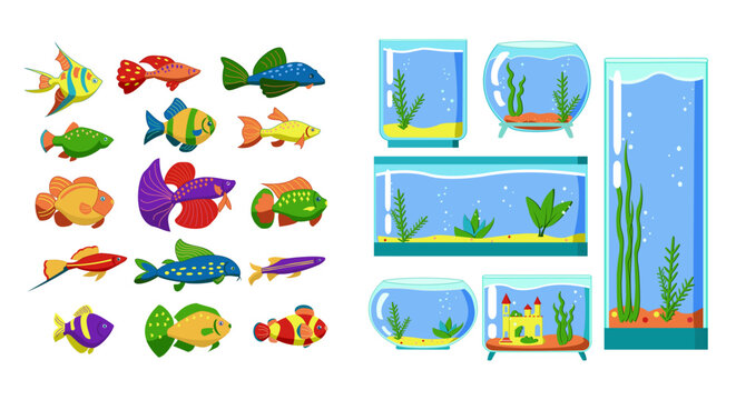 Aquarium fish and Glass Aquarium collection isolated on white background. Cute cartoon vector illustration set.