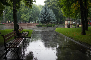 Fototapeta na wymiar Empty city park with benches on a rainy day - Kremenchuk city, Ukraine