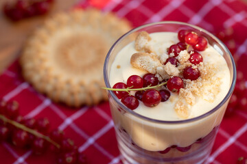 Dessert mit Johannisbeeren, Vanillepudding und Keks auf roter Tischdecke