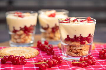 Dessert mit Johannisbeeren, Vanillepudding und Keks auf roter Tischdecke
