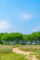 나무와 하늘 자연 경관