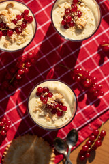 Dessert im Glas mit Johannisbeeren, Vanillecreme und Keks auf einer roten Tischdecke im Sonnenlicht