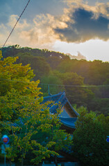 여름 자연 경관 석양