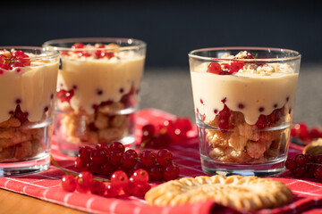 Dessert im Glas mit Johannisbeeren, Vanillecreme und Keks auf einer roten Tischdecke im Sonnenlicht