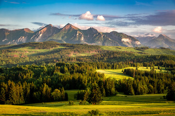 Tatra mountains and forest at sunset in summer Poland