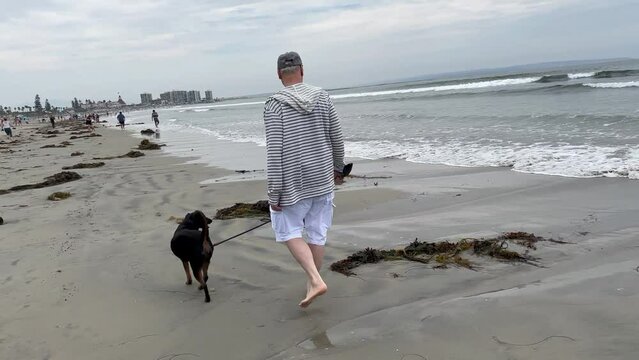 An Older Man Is Walking With His Dog Along The Ocean Beach. Relaxed Beach Life In The Morning.