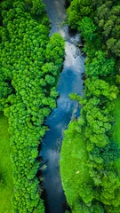 Fotobehang Aerial view of stunning forest and river in summer, Poland © shaiith