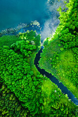 Top down view of amazing blooming algae on river