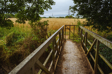 Fototapeta na wymiar Bridge to fields of crops