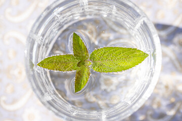 sprudelndes Wasser in einem durchsichtigen Glas mit einem Minzblatt auf einer gemusterten Tischdecke 