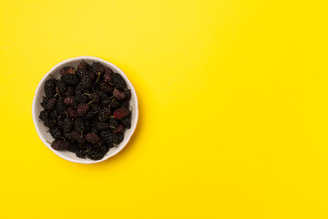 Bowls with mulberry fruit on color background