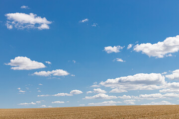 Fototapeta na wymiar landscape on which the field and blue sky with clouds