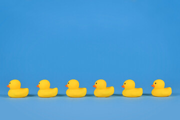 Yellow rubber ducks in a row on blue background with copy space