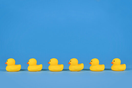 Yellow rubber ducks in a row on blue background with copy space