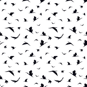 flying bird silhouette seamless pattern, bird background