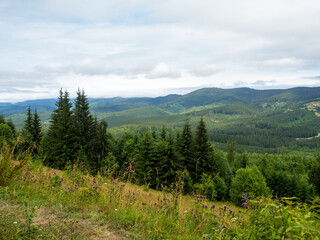 Obraz premium Majestic landscape of summer mountains. View of hills in mist. Carpathians. Amaizing view on the mountains and cloudy sky near Verkhovyna, Ukraine.
