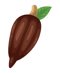 cocoa fruit plant