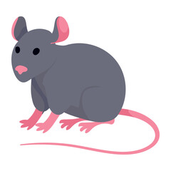 mouse domestic pet animal