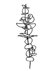 Delicate floral twig illustration. Botanical line art twig isolated on white background.