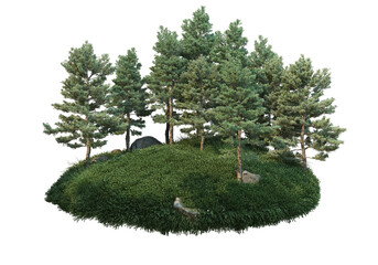 Coniferous forest on a transparent background  © jomphon