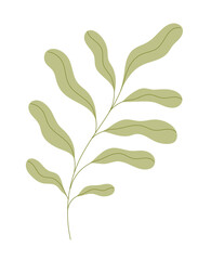 Plant, branch, or stem with leaves