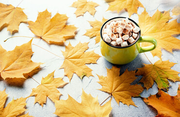 Cozy autumn hot drink with marshmallow and yellow maple leaves