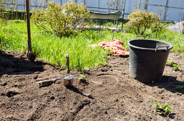 Soil preparation for planting in spring. Cultivation fruits and vegetables in ground outdoors, selective focus