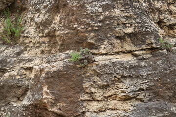 Texture of rocks and stones in a city park in Israel.