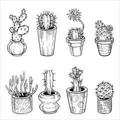 Set of cactus in flowerpots. Outline hand drawn sketch isolated on white