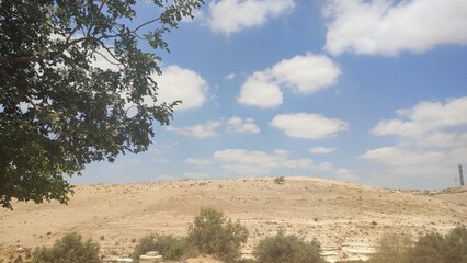 summer desert landscape