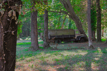 Vieux camion dans la for&ecirc;t