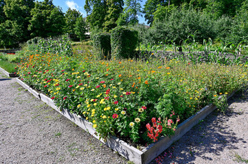 overlooking lots of flowers and vegetables in public garden
