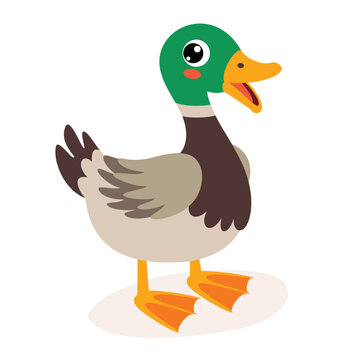 Cartoon Illustration Of A Duck