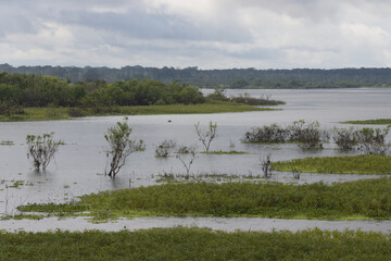 Itaya River, Loreto Region. Iquitos Peru.