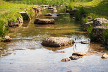 夏の千坊川砂防公園の小川－１(山口県山口市秋穂)