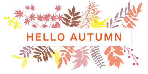 Autumn design background banner template with colorful autumn leaves silhouette. vector illustration, web banner, greeting card