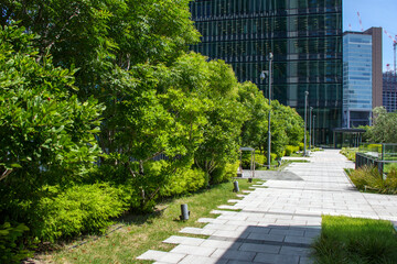 大阪梅田グランフロントの屋上庭園から見える高層ビル