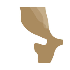 Beige & White Background