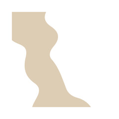 Beige & White Background