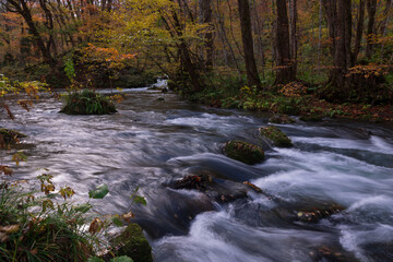 紅葉の奥入瀬渓流